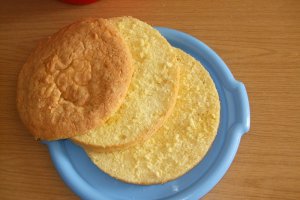 Blat de tort, universal
