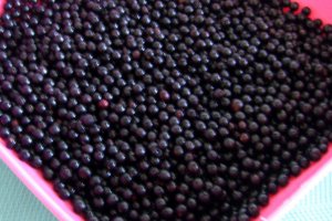 Dulceata din fructe de soc