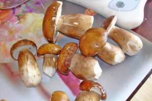 Ciuperci de padure cu usturoi