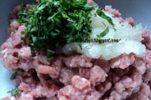 Burger de pui