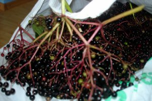 Dulceata din fructe de soc