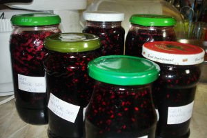 Dulceata din fructe de soc