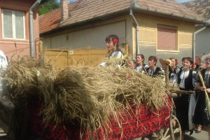 Placinte pe lespede