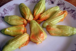 Flori de dovleac pane
