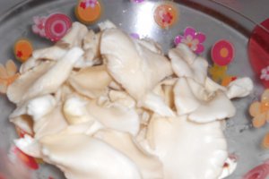 Pleurotus pane cu cascaval
