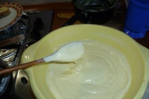 Inghetata cu iaurt de vanilie si sos de ciocolata cu ness