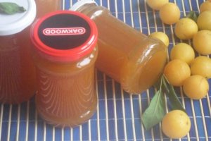 Pasta de corcoduse albe fara conservant