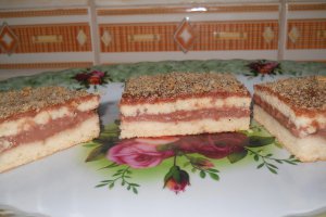 Prajitura cu crema de ciocolata (2)