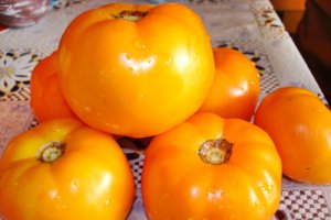 Dulceata de rosii galbene