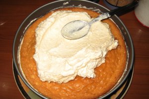 Tort special cu branza, caise si ciocolata alba