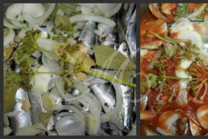 Conserva de sprot in suc de rosii