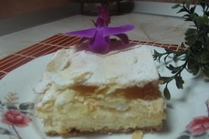 Cremes (cremsnit) ca la mama acasa