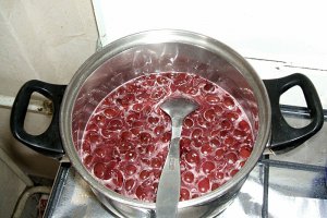 Tort Pădurea Neagră