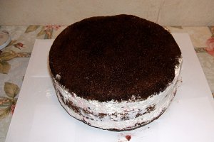 Tort Pădurea Neagră