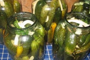 Castraveti in saramura