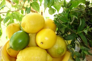 Limonada cu miere