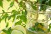 Limonada cu miere-3