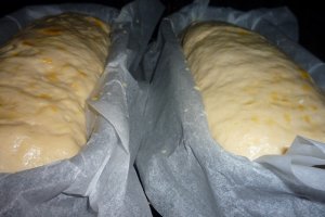 Paine de casa