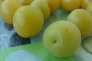 Umeboshi