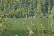 Vacanţă în adidaşi (3)- Lacul Roşu si Cheile Bicazului