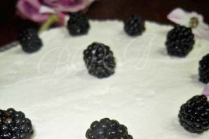 Cheesecake cu vanilie si mure