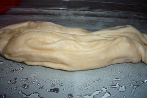 Placinta dobrogeana