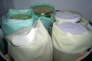 Castraveti bulgaresti reteta