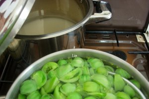 Dulceata din gogonele