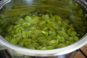 Dulceata din gogonele