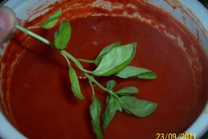 Ketchup de casa