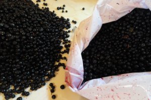 Dulceata de afine