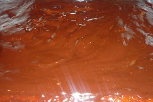 Prajitura Orangina