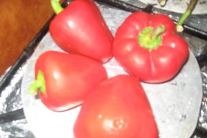 Curcan Delicious Flavours