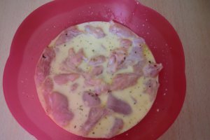 Nuggets de pollo con especias (Nugets de pui bine aromati)