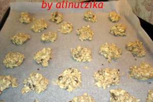 Biscuiti deliciosi cu musli