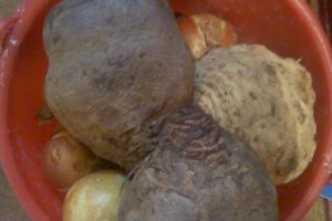 Sfecla rosie pentru salata