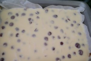 Prajitura cu branza si cirese