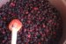 Dulceata de mure-2