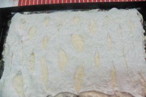 Placinta cu ceapa si smantana