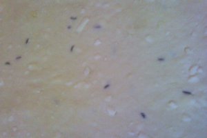Placintele umplute cu branza
