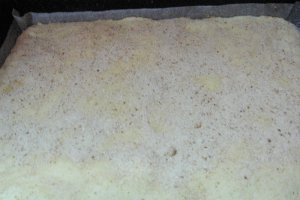 Prajitura cu mere Madalina Manole