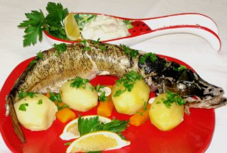 Rasol de stiuca