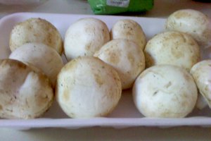 Ciupercute cu branza la cuptor