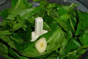 Pesto de busuioc