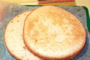 Tort Diplomat cu fructe