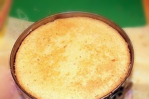 Tort Diplomat cu fructe