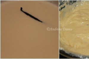 Prajitura cu mousse de ciocolata alba si vanilie