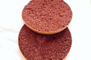 Tort cu mousse de iaurt si ciocolata