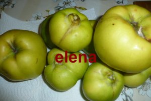 Gem de gutui