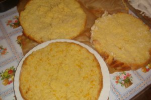 Tort Ioana
